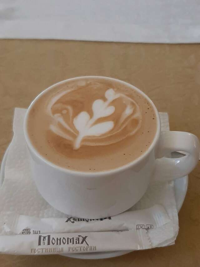 Гостиница Мономах Владимир-119